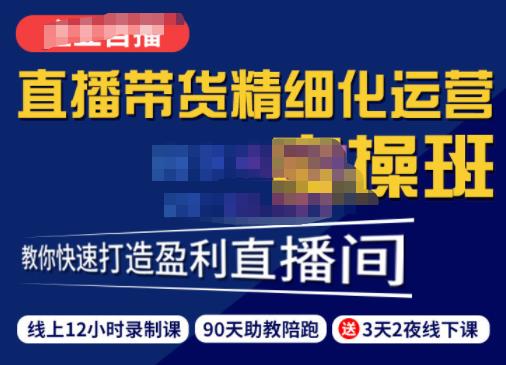 隆哥·短视频直播运营实操班，直播带货精细化运营实操，教你快速打造盈利直播间-生财有道