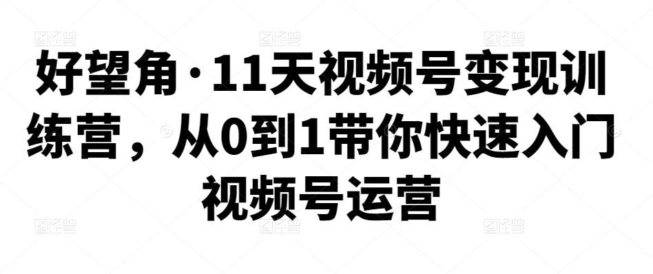 好望角·11天视频号变现训练营，从0到1带你快速入门视频号运营-生财有道