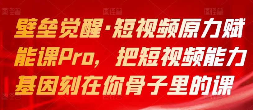壁垒觉醒·短视频原力赋能课Pro，把短视频能力基因刻在你骨子里的课-生财有道
