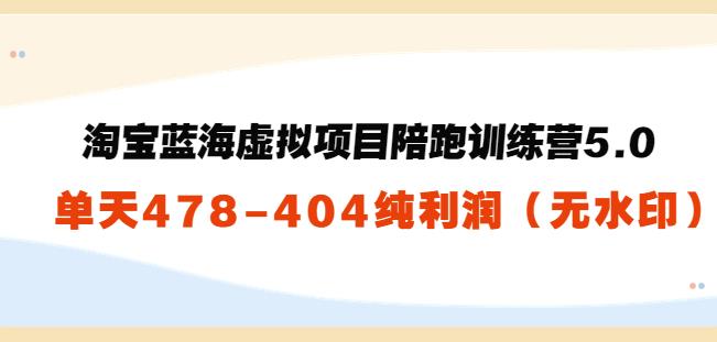 黄岛主：淘宝蓝海虚拟项目陪跑训练营5.0：单天478纯利润（无水印）-生财有道