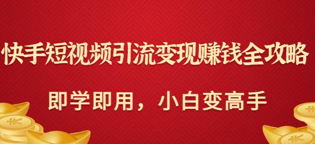 快手短视频引流变现赚钱全攻略：即学即用，小白变高手（价值980元）-生财有道