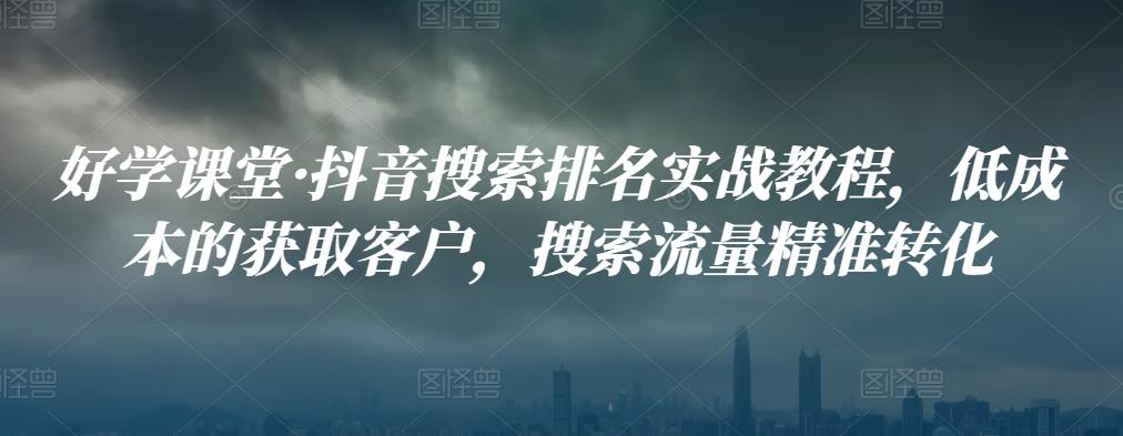 好学课堂·抖音搜索排名实战教程，低成本的获取客户，搜索流量精准转化-生财有道