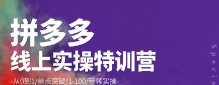青云:拼多多运营实操特训营：从0到1/单点突破/1-100/带领实操价值2980元-生财有道