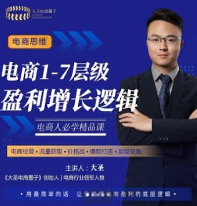 大圣：电商1-7层级盈利增长底层逻辑课（线上视频课），用简单的话，让你掌握电商盈利的底层逻辑-生财有道