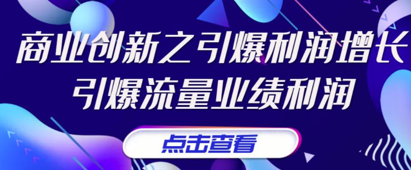 张琦《商业创新之引爆利润增长》引爆流量业绩利润-生财有道