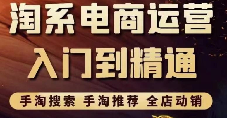 淘系电商入门到精通手淘搜索，手淘推荐，全店动销（价值1099元）-生财有道