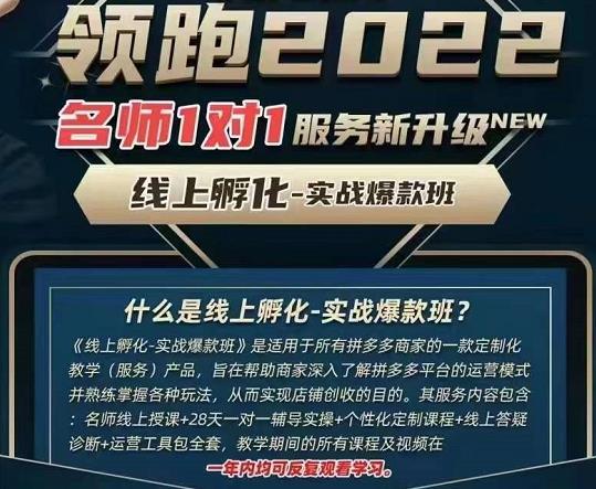 牛气学堂老陶电商【第9期】，拼多多名师线上领跑28天，线上孵化-实战爆款班-生财有道