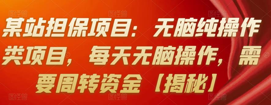 某站担保项目：无脑纯操作类项目，每天无脑操作，需要周转资金【揭秘】-生财有道