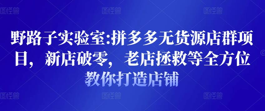 野路子实验室:拼多多无货源店群项目，新店破零，老店拯救等全方位教你打造店铺-生财有道