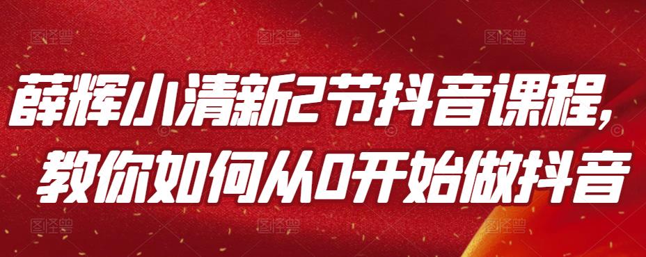 薛辉小清新2节抖音课程，教你如何从0开始做抖音-生财有道