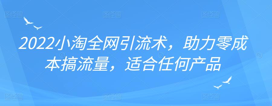 2022年小淘全网引流术，助力零成本搞流量，适合任何产品-生财有道