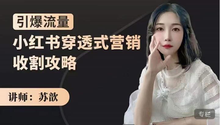 苏歆：小红书穿透式营销收割攻略，引爆流量，助你玩转小红书-生财有道