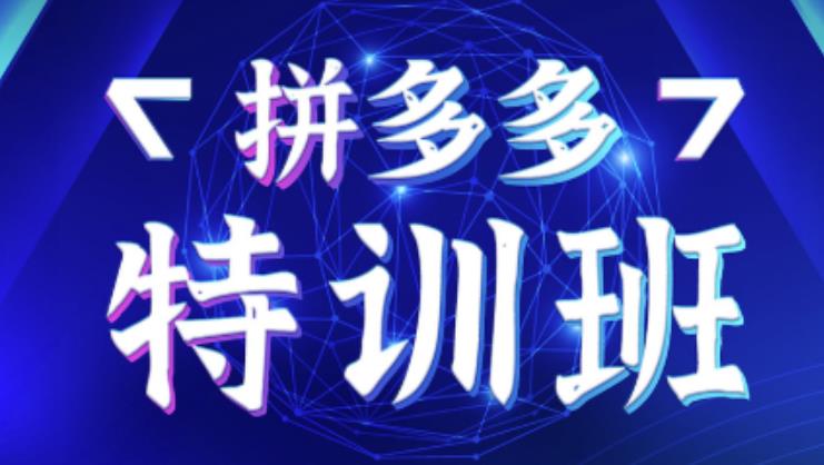 星雪教育·拼多多基础班+进阶班+突破班，用系统的学习模式快速改变现状价值3580元-生财有道