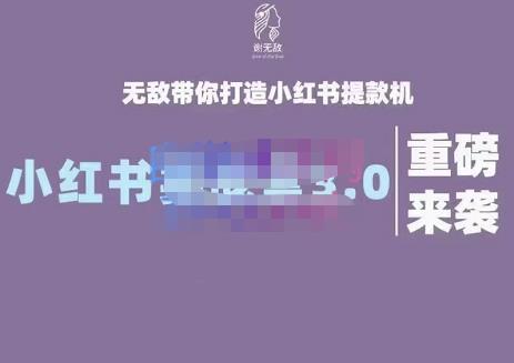 谢无敌·小红书实战营3.0，无敌带你打造小红书提款机 价值7999元-生财有道