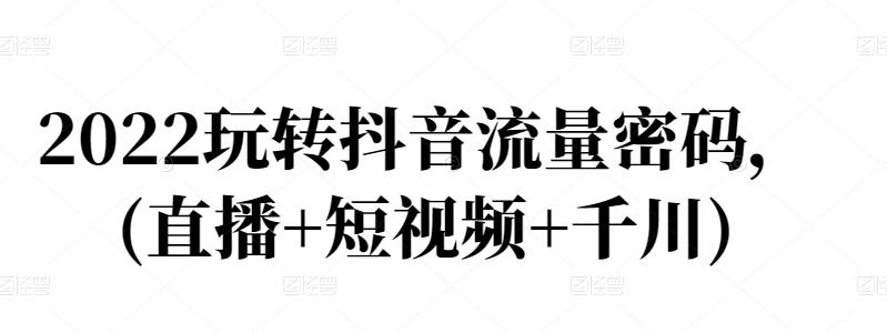2022玩转抖音流量密码，(直播+短视频+千川)-生财有道