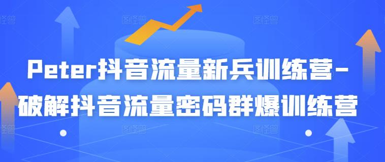 Peter抖音流量新兵训练营-破解抖音流量密码群爆训练营（新兵）-生财有道