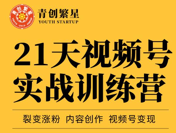 张萌21天视频号实战训练营，裂变涨粉、内容创作、视频号变现 价值298元-生财有道