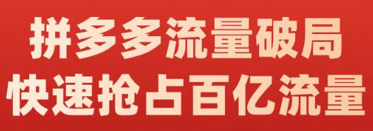 阿杰·拼多多流量破局:如何打黑标，爆款的思路，拼多多流量框架，快速抢占百亿流量-生财有道