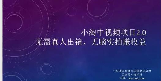 小淘项目组网赚永久会员，绝对是具有实操价值的，适合有项目做需要流程【持续更新】-生财有道