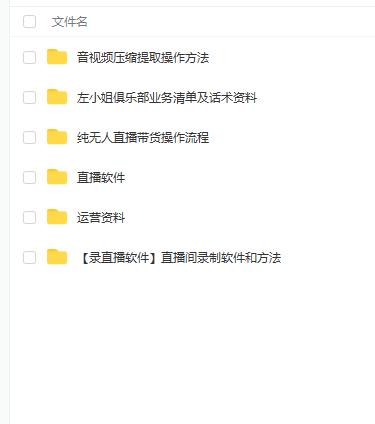 左小姐-直播带货俱乐部十三行、无人直播，全套教程附：工具、文档、话术资料-生财有道
