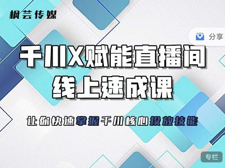 枫芸传媒-线上千川提升课，提升千川认知，提升千川投放效果-生财有道