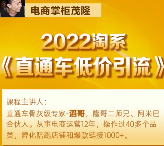 茂隆2022直通车低价引流玩法，教大家如何低投入高回报的直通车玩法-生财有道