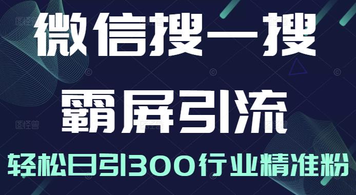 微信搜一搜霸屏引流课，打造被动精准引流系统，轻松日引300行业精准粉【无水印】-生财有道