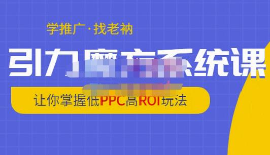 老衲·引力魔方系统课，让你掌握低PPC高ROI玩法，价值299元-生财有道
