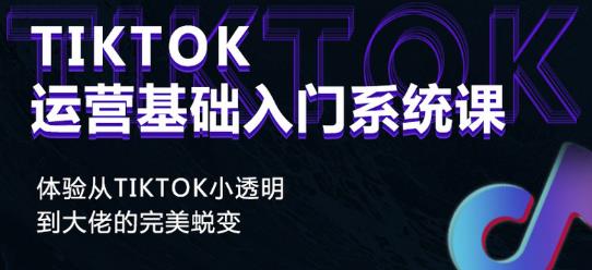 Tiktok实操进阶课程，体验从tiktok小透明到大佬的完美蜕变-生财有道