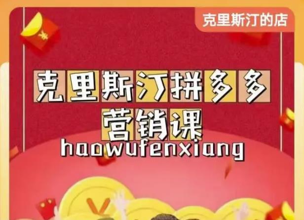 克里斯汀拼多多运营课，适合小白初涉平台，低成本入门-生财有道