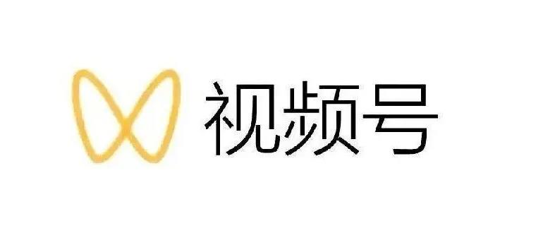 影子-最新视频号解读，视频号真相+变现玩法【视频课程】-生财有道