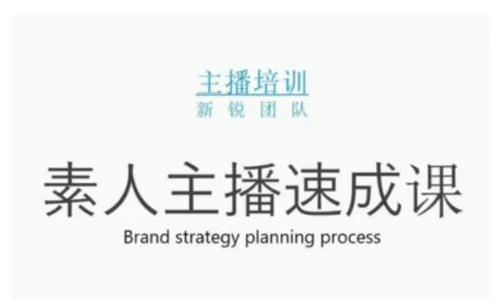 雨婷团队·素人主播两天养成计划,月销千万的直播间脚本手把手教学落地-生财有道