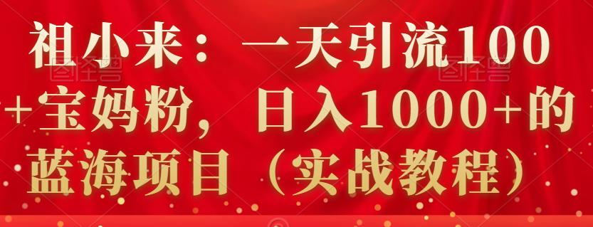 祖小来：一天引流100+宝妈粉，日入1000+的蓝海项目（实战教程）-生财有道