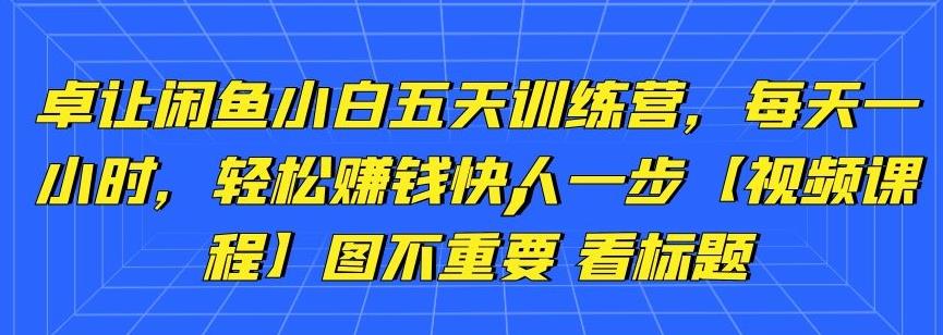 卓让闲鱼小白五天训练营，每天一小时，轻松赚钱快人一步【视频课程】-生财有道