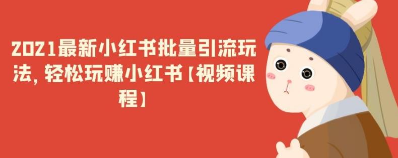 2021最新小红书批量引流玩法，轻松玩赚小红书【视频课程】-生财有道