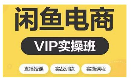 2021闲鱼副业月入过万进阶课程，掌握闲鱼电商所需的各项技能【视频课程】-生财有道