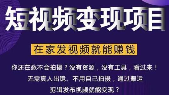 随风短视频变现项目：从0到1教你打造爆款短视频变现，在家发视频就能赚钱-生财有道