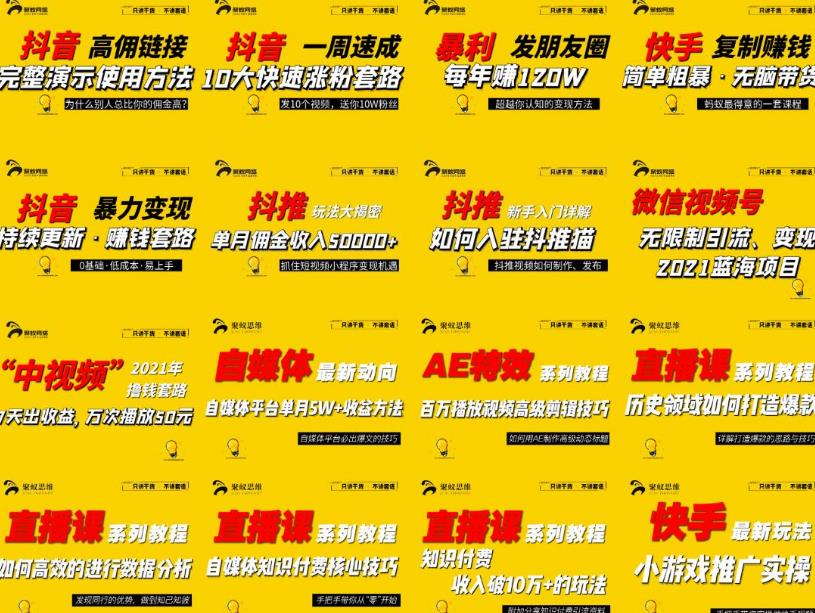 2021聚蚁思维高级合伙人vip会员课程合集，帮助上万人通过短视频变现益利-生财有道
