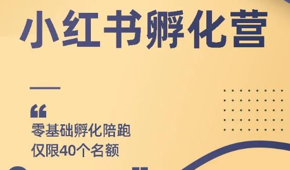 勇哥小红书撸金快速起量项目：教你如何快速起号获得曝光，做到月躺赚在3000+-生财有道