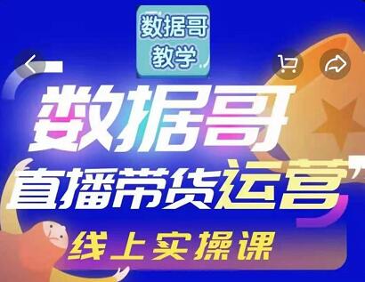 数据哥直播带货运营线上进阶课，让普通人也能靠直播赚钱!-生财有道