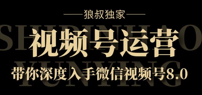 狼叔独家：视频号运营实战课8.0，带你深度入手微信视频号-生财有道
