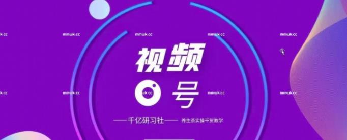视频号带货实战教程：手把手教你撸养生茶，轻松月入10W+【视频课程】-生财有道