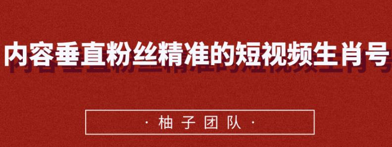 内容垂直粉丝精准的短视频生肖号，小众领域简单操作月入10000+【视频课程】-生财有道