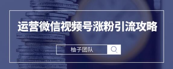 手把手教你运营微信视频号涨粉引流攻略，轻松涨粉10W+【视频课程】-生财有道