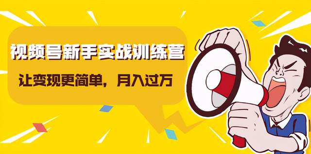 龟课视频号新手实战训练营，让变现更简单，玩赚视频号，轻松月入过万-生财有道