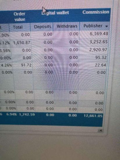 国外网赚:2020最新lead赚钱项目2.0,在家日赚500刀美金【视频教程】-生财有道