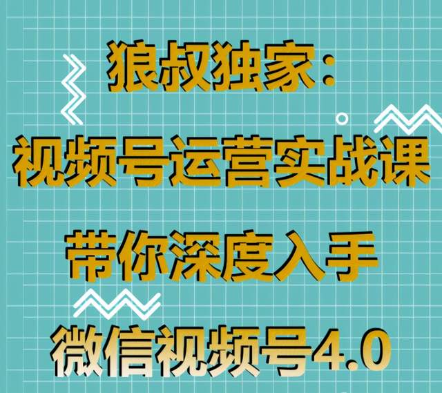 狼叔独家：视频号运营实战课，带你深度入手微信视频号4.0-生财有道
