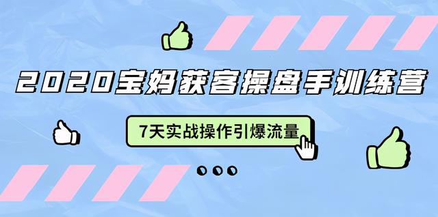 2020宝妈获客操盘手训练营：7天实战操作引流宝妈粉，引爆宝妈流量-生财有道