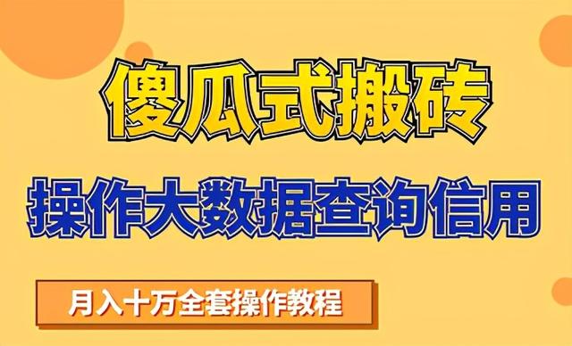 搬砖操作大数据查询信用项目赚钱教程，祝你快速月入6万-生财有道