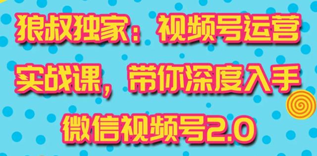 狼叔视频号运营实战课2.0，目前市面上最新最全玩法，快速吸粉吸金（10节视频）-生财有道